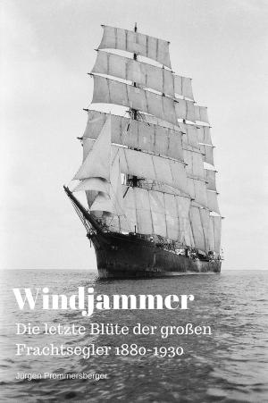 bigCover of the book Windjammer by 