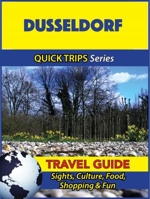 Book cover of Dusseldorf Travel Guide (Quick Trips Series)
