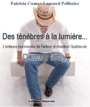 Cover of the book Des ténèbres à la lumière by Yvonne J Foster