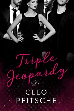 Cover of the book Triple Jeopardy by Tawna Fenske