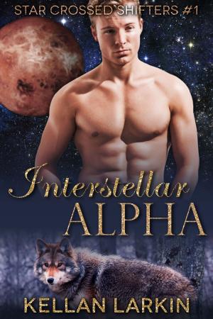 Cover of the book Interstellar Alpha by Kim Bowman