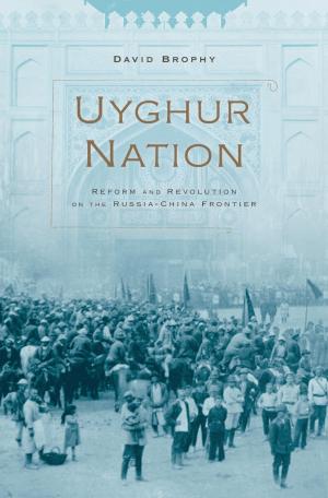 Cover of the book Uyghur Nation by 黃榮郎