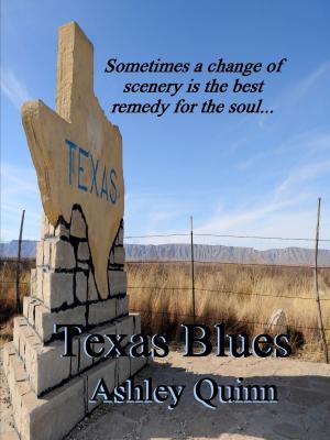 Cover of the book Texas Blues by Emil Crise