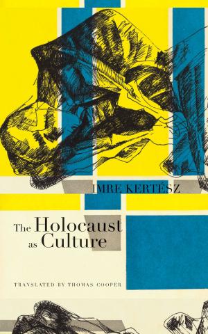 Cover of the book The Holocaust as Culture by Dan Gunn