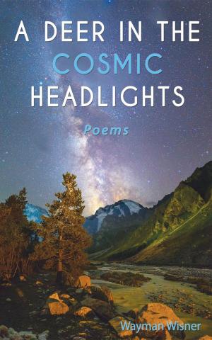Cover of the book A Deer in the Cosmic Headlights by Adam Lehrhaupt