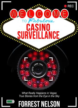 bigCover of the book Welcome to Fabulous Casino Surveillance by 