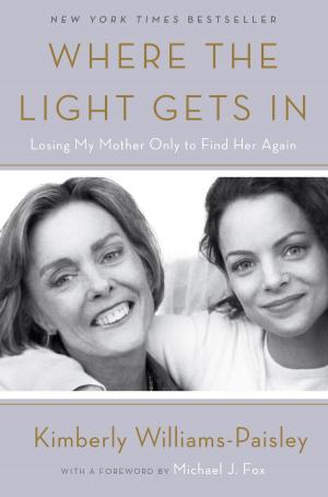 Book cover of Where the Light Gets In