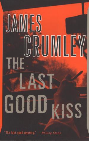 bigCover of the book The Last Good Kiss by 