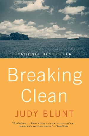 Cover of Breaking Clean