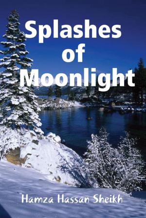 bigCover of the book Splashes of Moonlight by 