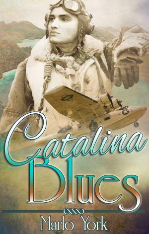 Book cover of Catalina Blues: A Love is an Open Road Story