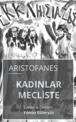 Book cover of Kadınlar Mecliste