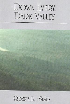 Cover of the book Down Every Dark Valley by Hana Samek Norton