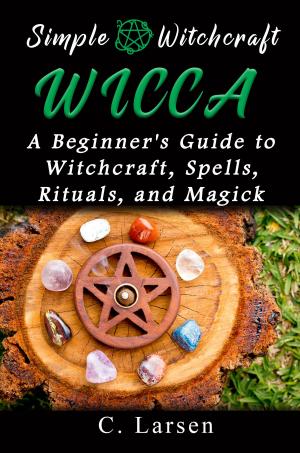 Cover of the book Wicca: A Beginner's Guide to Witchcraft, Spells, Rituals, and Magick by 星座逹人