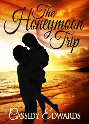 Cover of the book Honeymoon Trip by Alyssa Linn Palmer