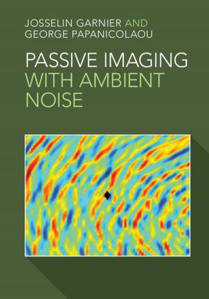Cover of the book Passive Imaging with Ambient Noise by Mehrdad Vahabi