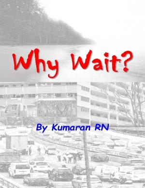 Cover of the book Why Wait? by Vanessa Carvo