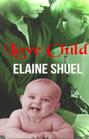 Cover of the book Love Child by Nina Levine