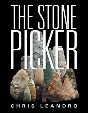 Cover of the book The Stone Picker by David Yvinec-Dunlop, Jamie Yvinec-Dunlop