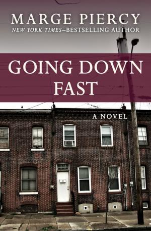 Cover of the book Going Down Fast by Richard S. Prather
