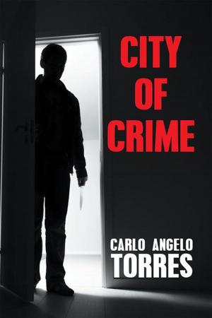 Cover of the book City of Crime by A-T. Gabe