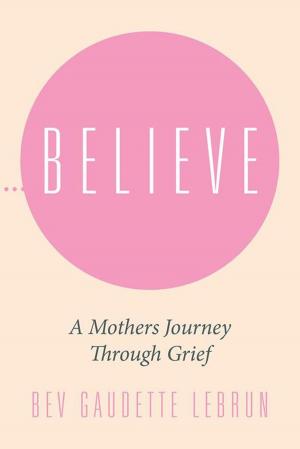 Cover of the book Believe by Heather Vallellanes