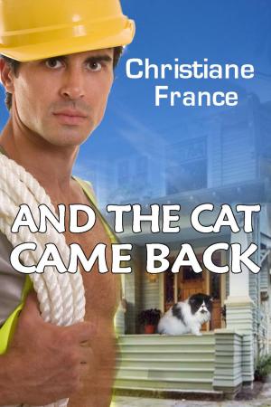 Cover of the book And The Cat Came Back by Dan Skinner