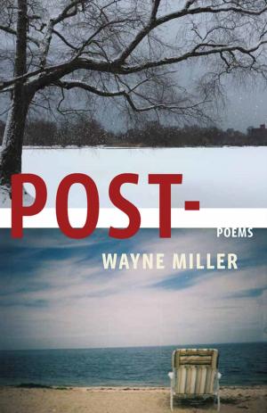 Cover of the book Post- by Jutta Richter