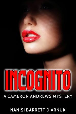 Cover of the book Incognito by Deirdre O’Dare