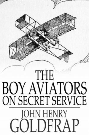 Cover of the book The Boy Aviators on Secret Service by Franz Oppenheimer