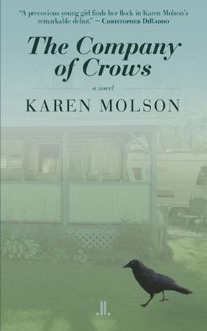 Book cover of The Company of Crows