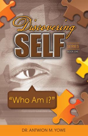 Cover of the book Discovering Self Series by Steve Husting