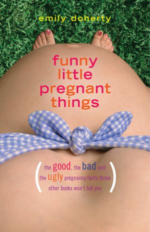 Cover of the book Funny Little Pregnant Things by Anne Johnsos