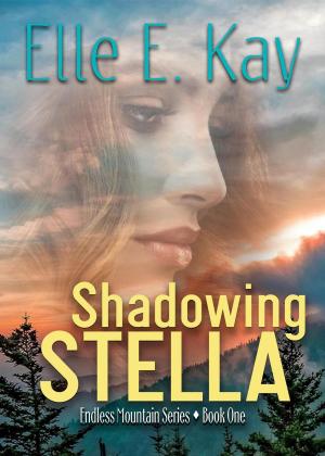 Cover of the book Shadowing Stella by Viv Doyle