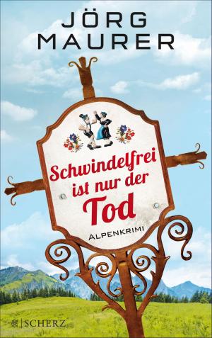 Cover of the book Schwindelfrei ist nur der Tod by Marion Brasch