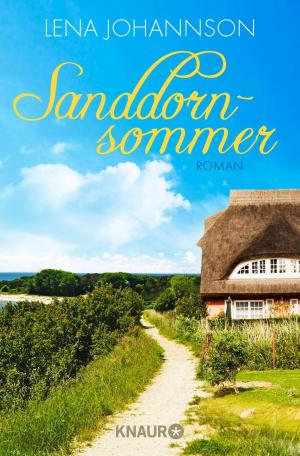 Cover of the book Sanddornsommer by Iny Lorentz