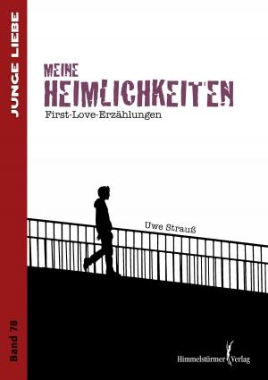 Cover of the book Meine Heimlichkeiten by Nick Zachries