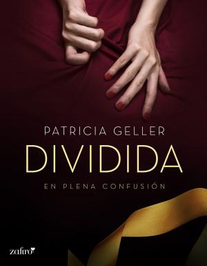 Cover of the book En plena confusión. Dividida by AD Stewart