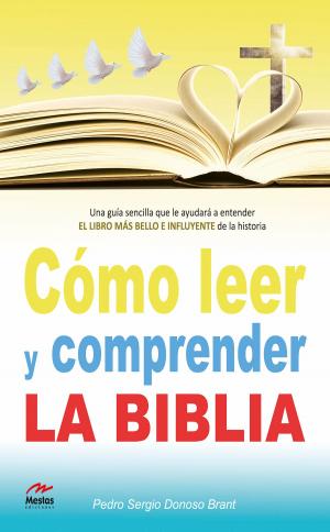 Cover of the book Cómo leer y comprender la Biblia by Dulce Bermúdez