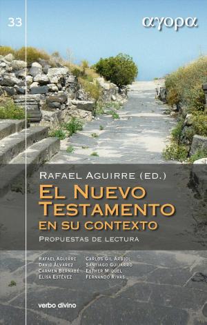 Book cover of El Nuevo Testamento en su contexto