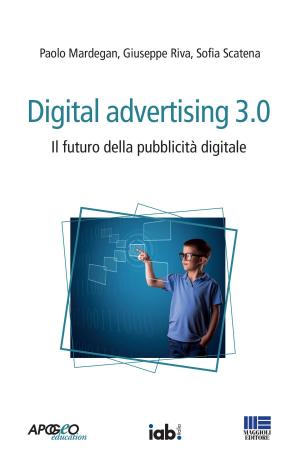 Book cover of Digital advertising 3.0