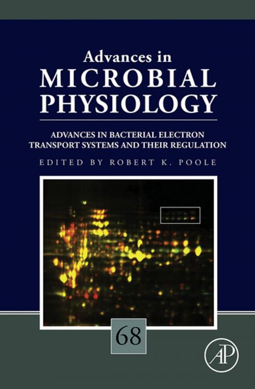 Cover of the book Advances in Bacterial Electron Transport Systems and Their Regulation by Robert K. Poole, Elsevier Science