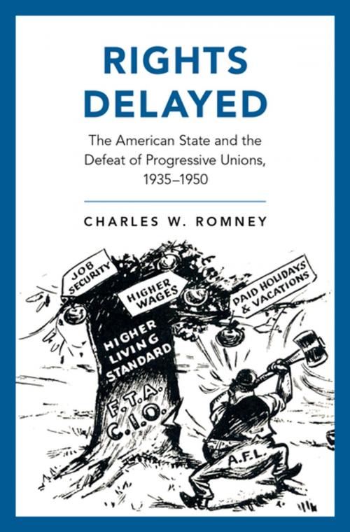 Cover of the book Rights Delayed by Charles W. Romney, Oxford University Press