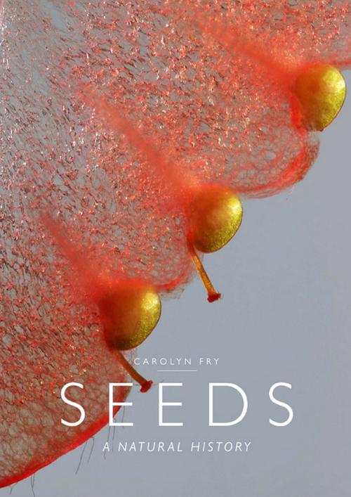 Cover of the book Seeds by Carolyn Fry, University of Chicago Press