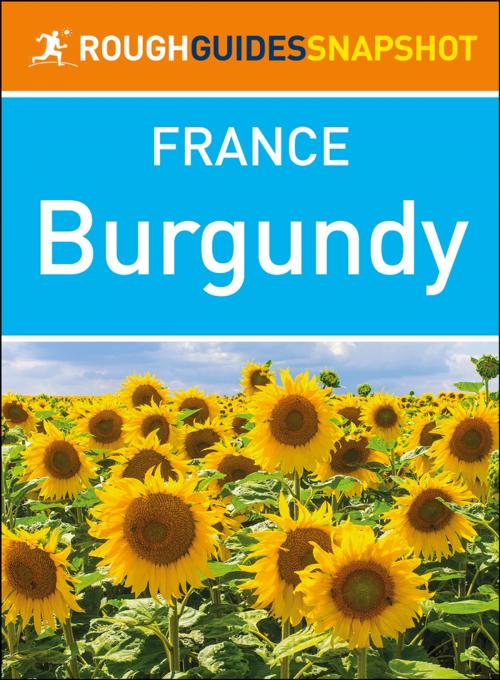 Cover of the book Burgundy (Rough Guides Snapshot France) by Rough Guides, Apa Publications