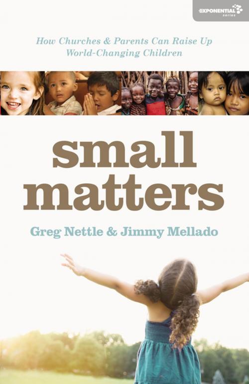 Cover of the book Small Matters by Greg Nettle, Santiago Heriberto Mellado, Zondervan