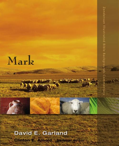 Cover of the book Mark by David E. Garland, Clinton E. Arnold, Zondervan Academic