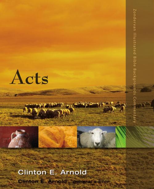 Cover of the book Acts by Clinton E. Arnold, Zondervan Academic