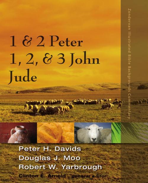 Cover of the book 1 and 2 Peter, Jude, 1, 2, and 3 John by Peter H. Davids, Douglas  J. Moo, Robert Yarbrough, Clinton E. Arnold, Zondervan Academic