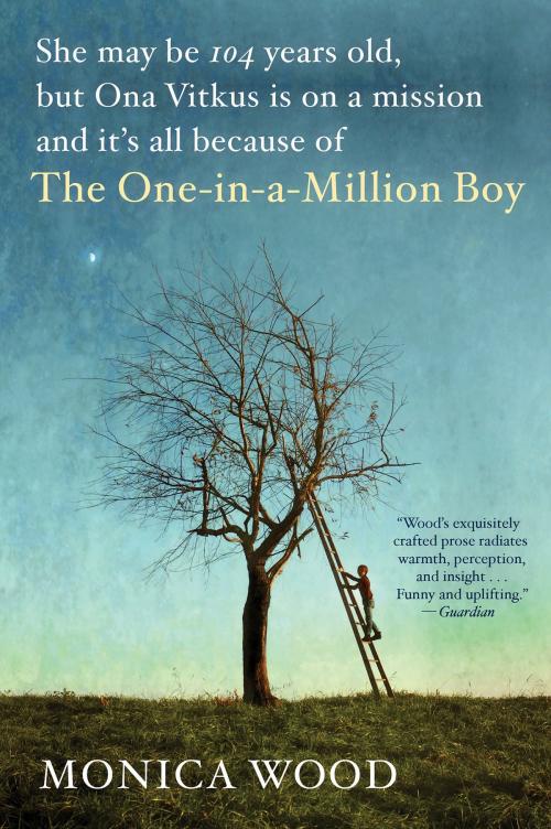 Cover of the book The One-in-a-Million Boy by Monica Wood, HMH Books